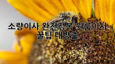 📦 소량이사 완전정복! 원룸이사 꿀팁 대방출 🔑